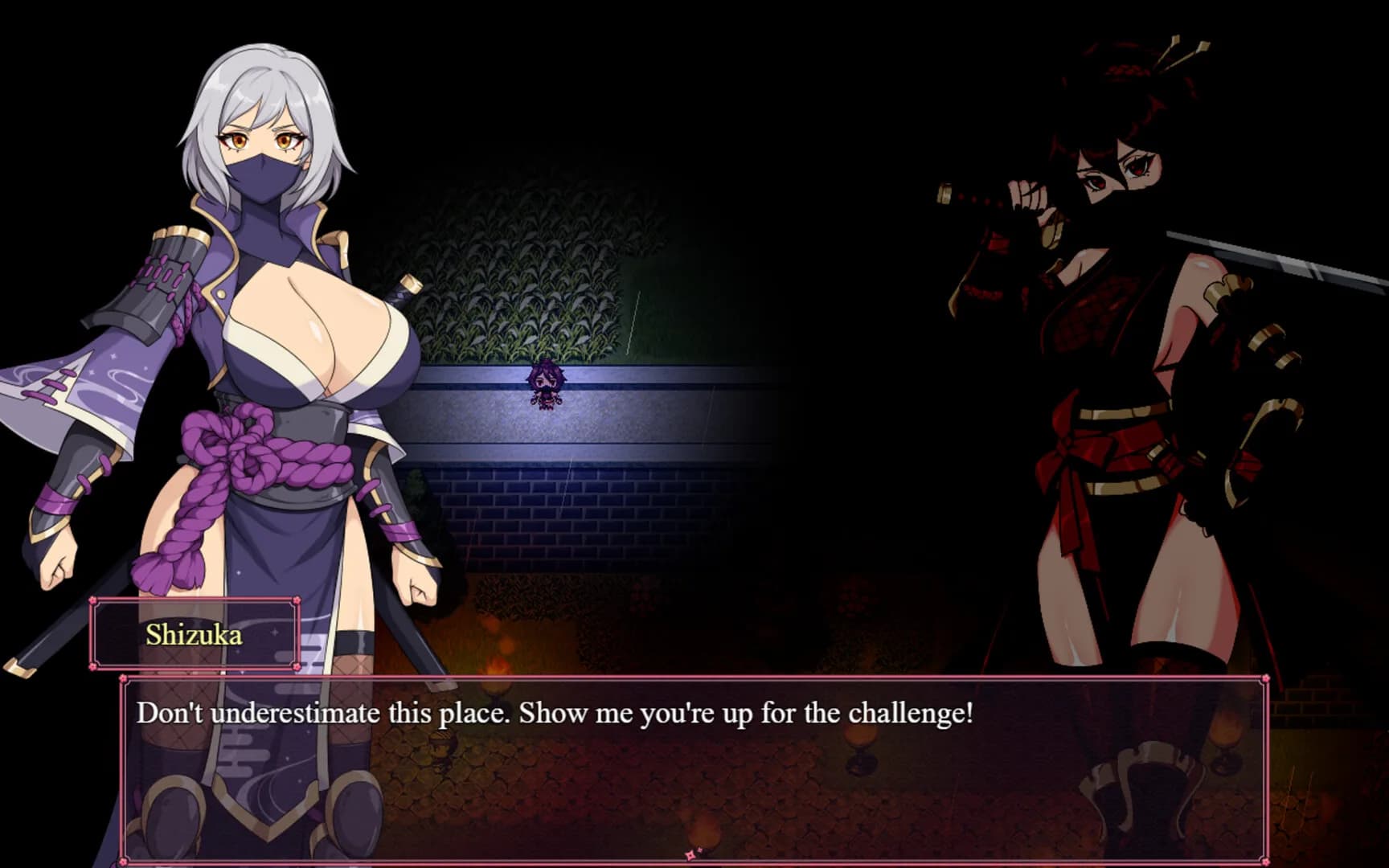 Kunoichi Keiko: The Lust Village görsel 3
