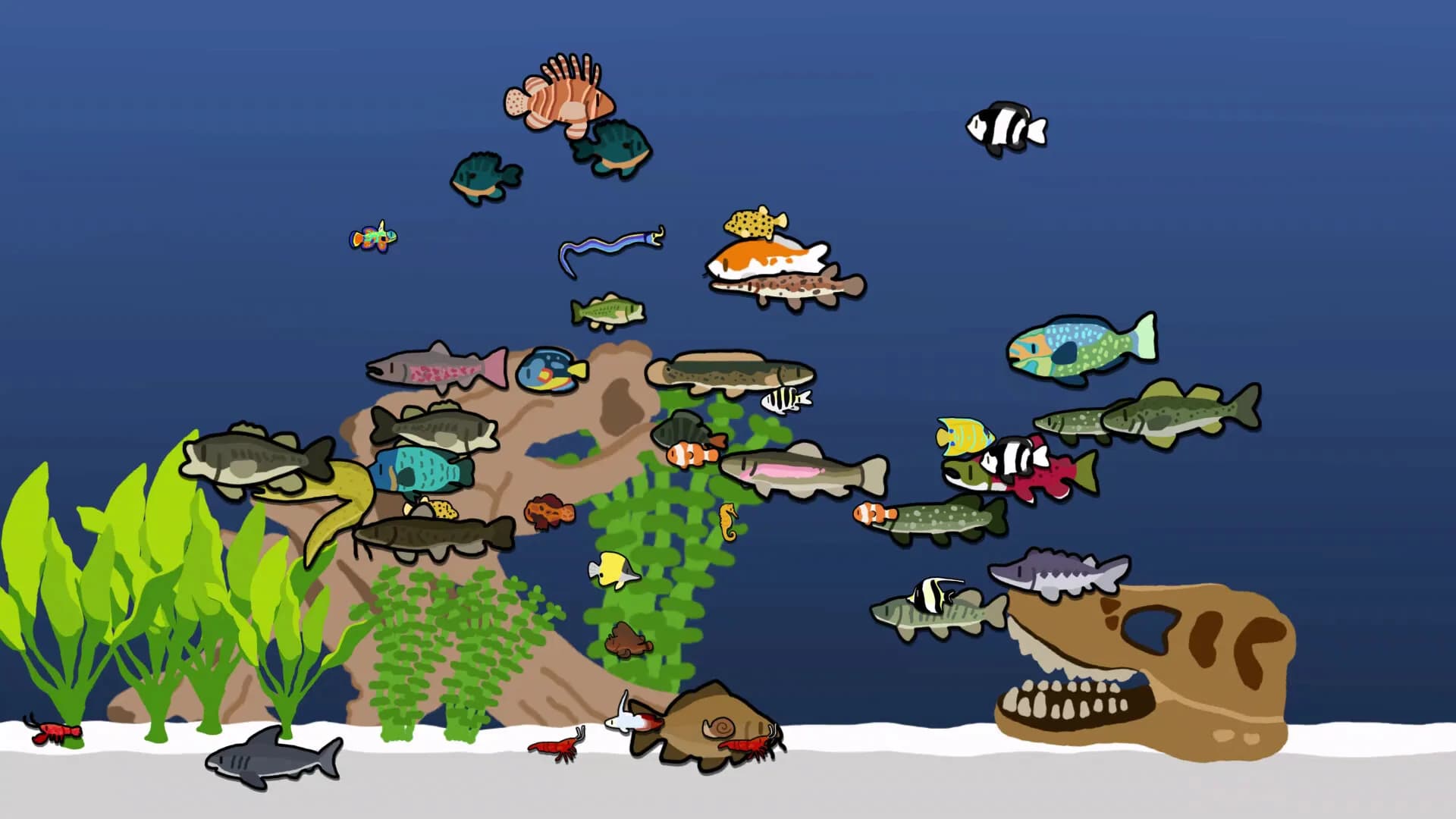 Cozy Aquarium görsel 12