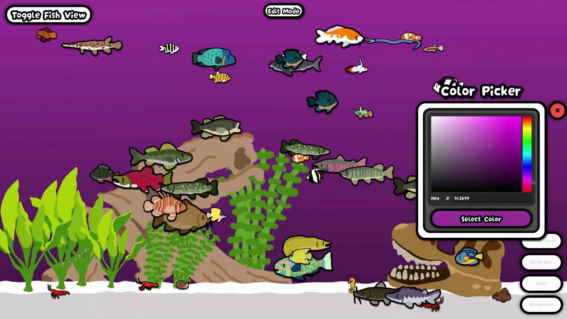 Cozy Aquarium görsel 6