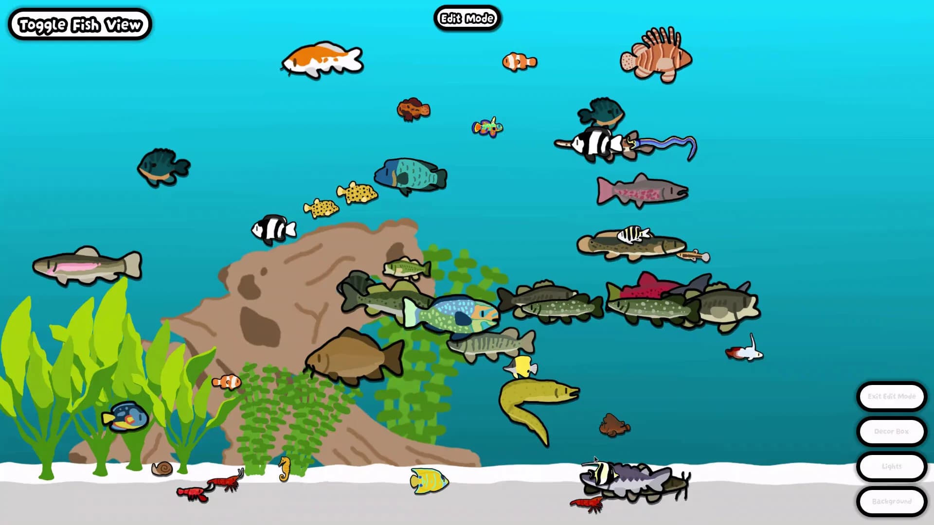 Cozy Aquarium görsel 7