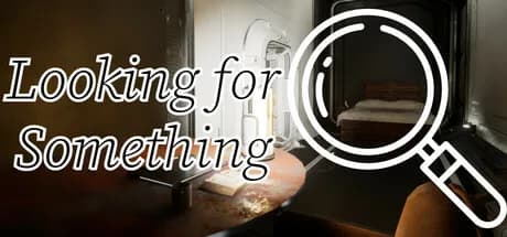 Looking for Something görsel 1