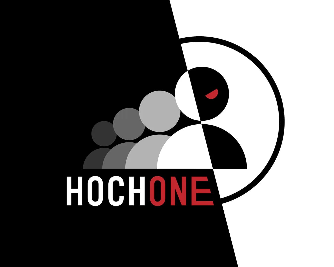 Hochone görsel 2