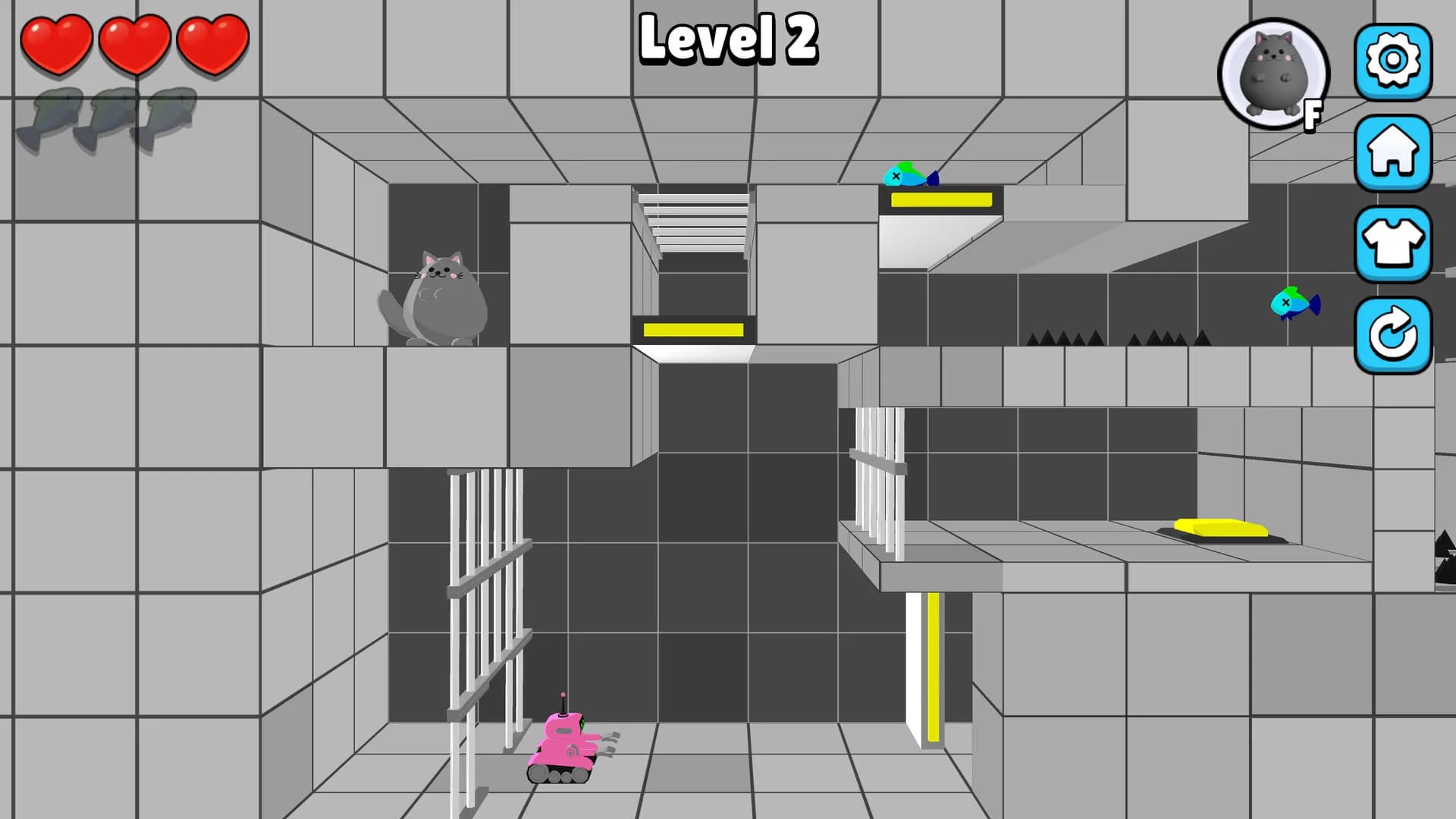 Dual Cat: Max görsel 3