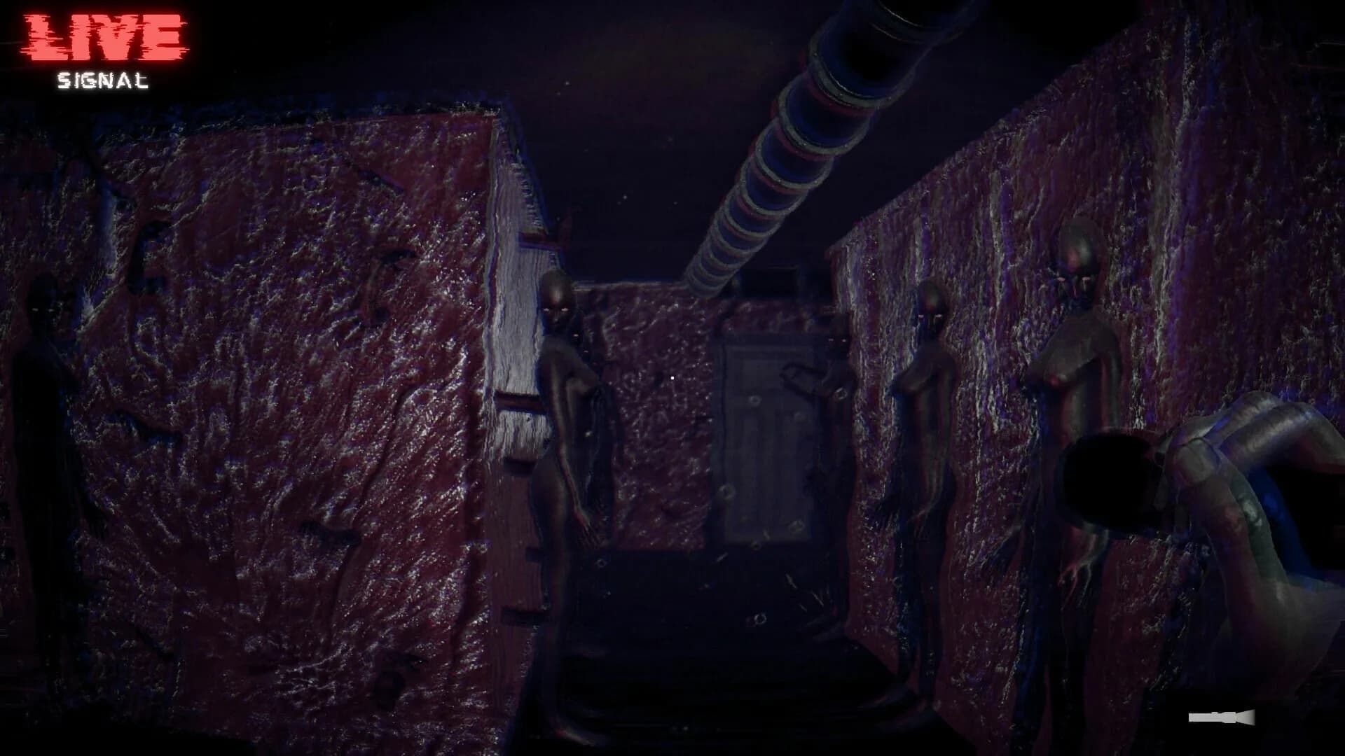Dr. Yaga Lost House görsel 10