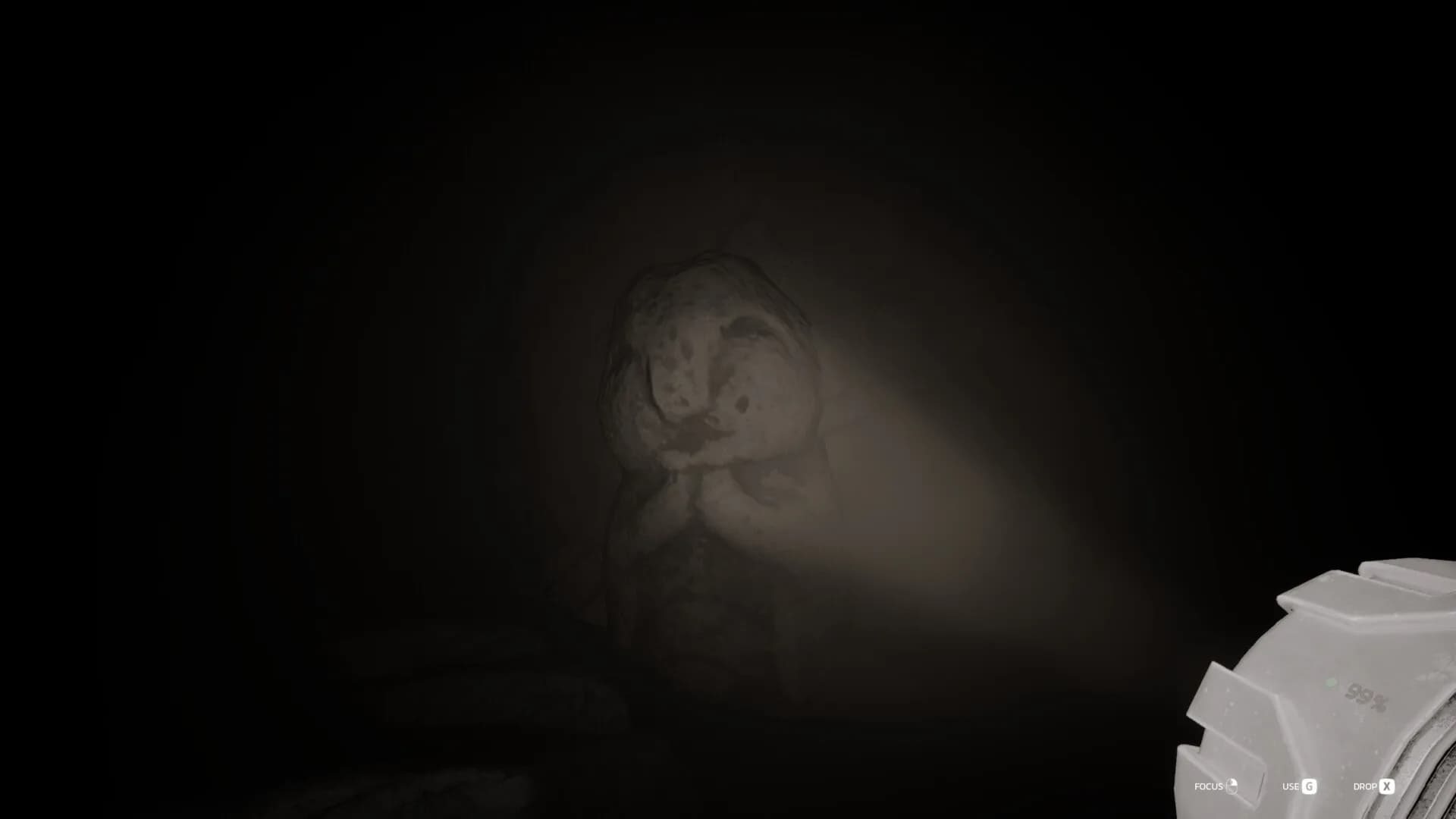 Echoing Silence görsel 6