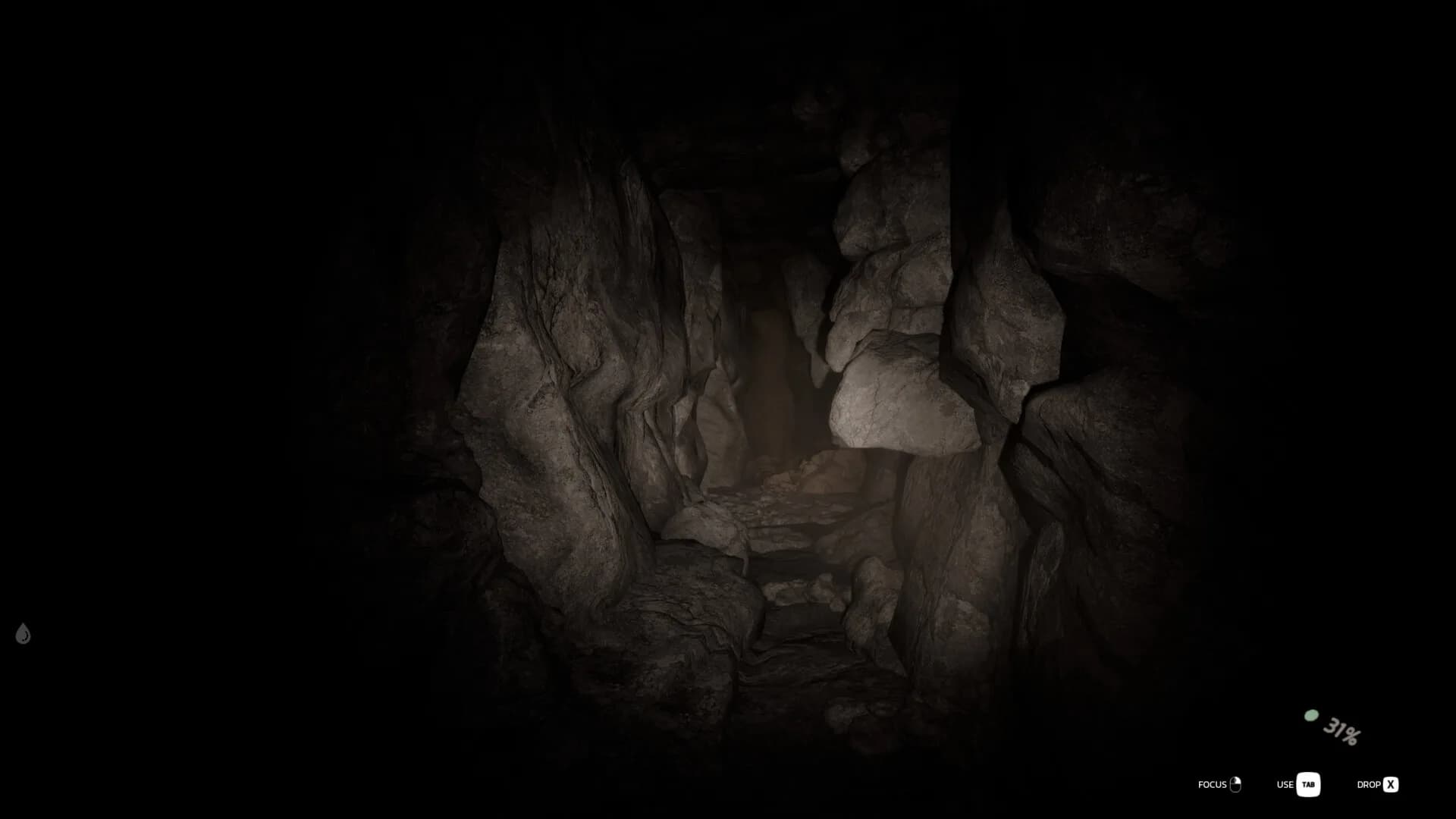 Echoing Silence görsel 11