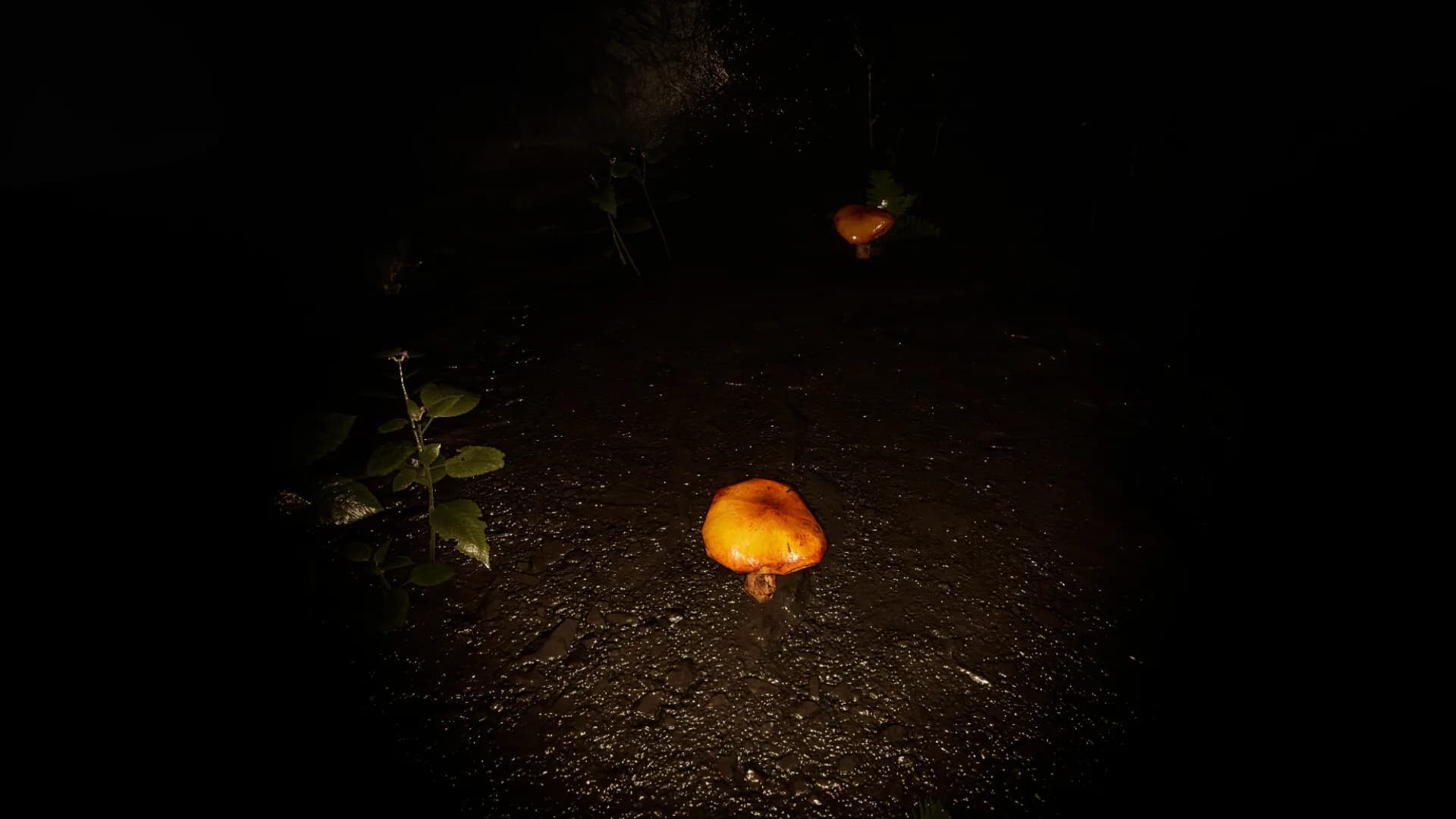 Cave Of Horrors görsel 4