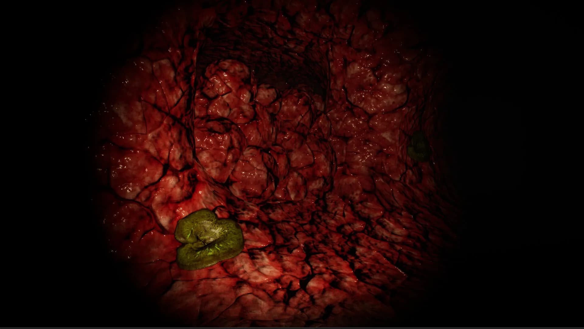 Cave Of Horrors görsel 9