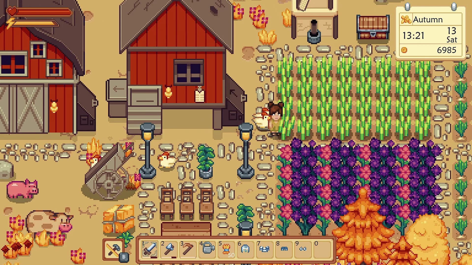 Sunshine Farm görsel 2
