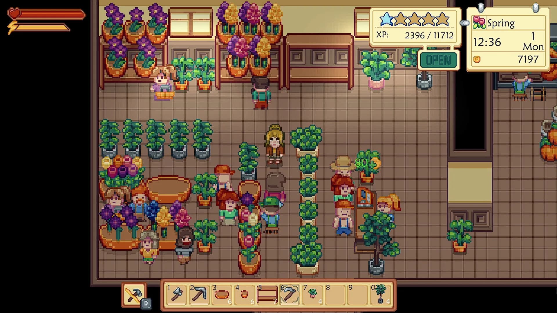 Sunshine Farm görsel 4