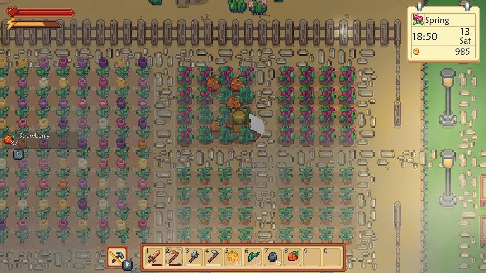 Sunshine Farm görsel 6