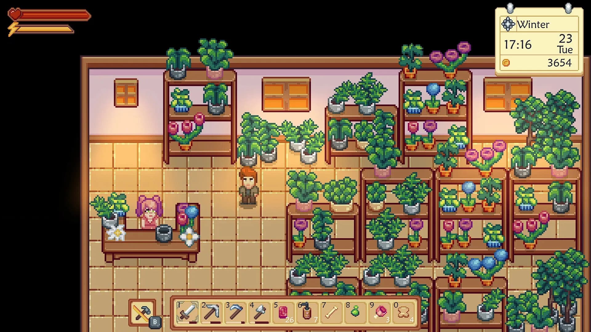 Sunshine Farm görsel 8