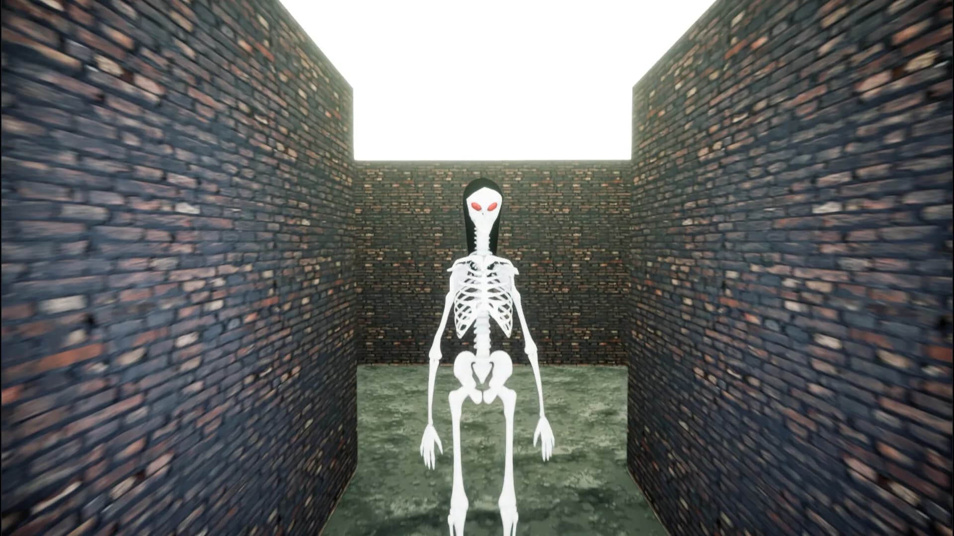 Edd Skeleton Game görsel 4
