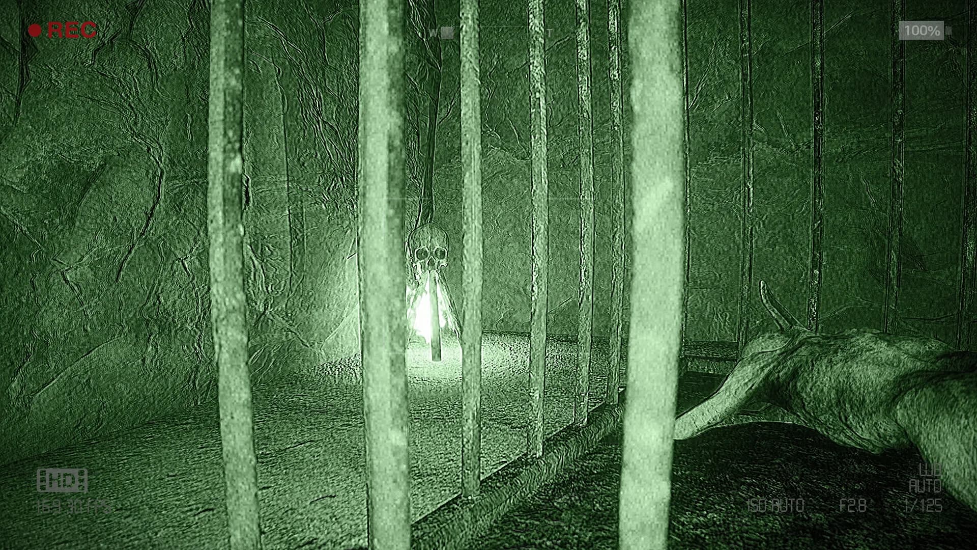 KAVERNUM görsel 7