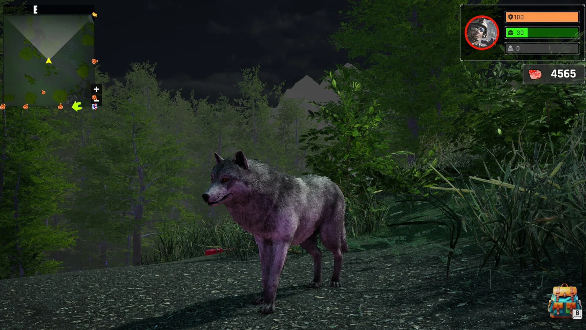 Wolf Simulator: Silent Paws görsel 4
