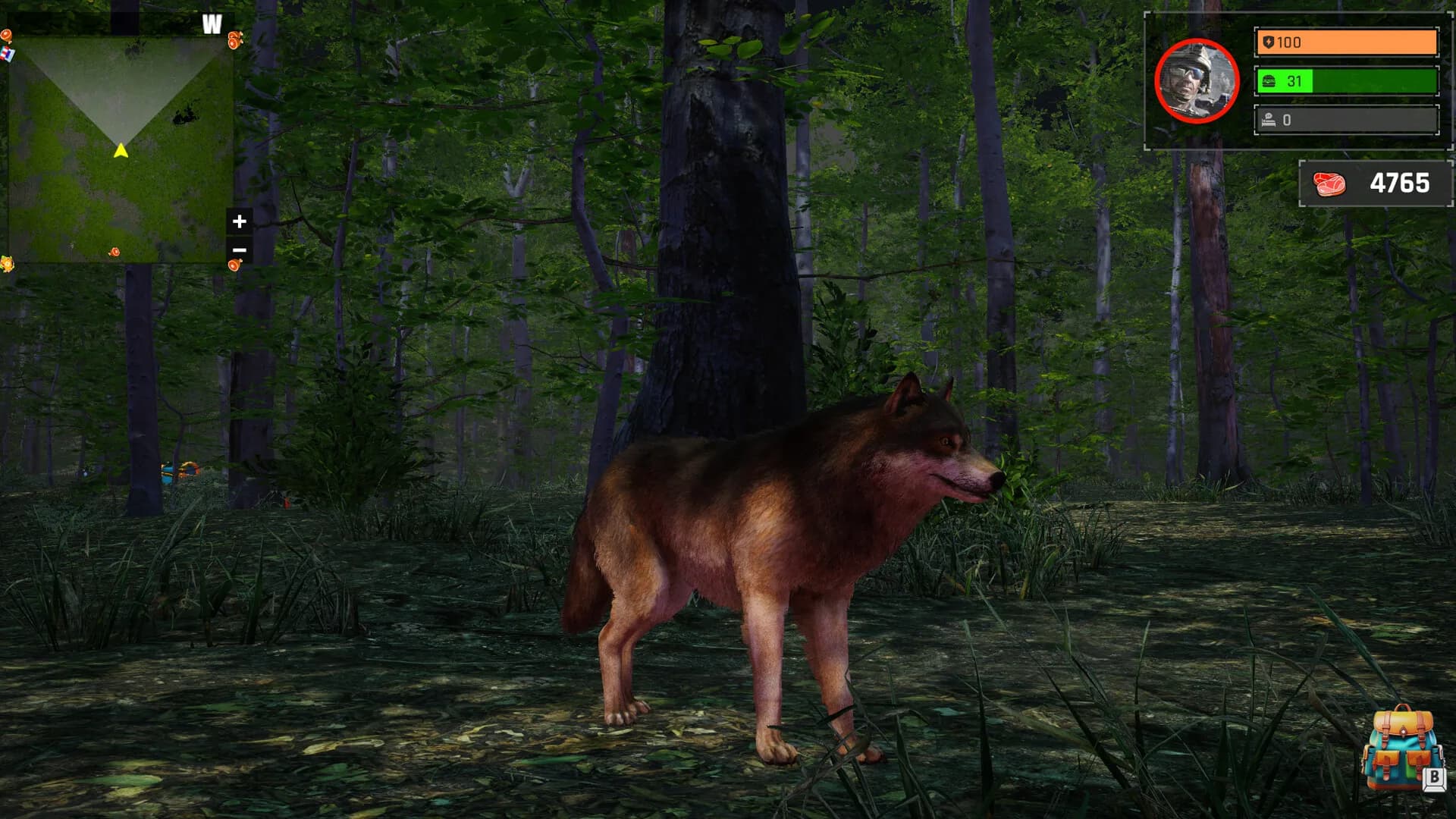 Wolf Simulator: Silent Paws görsel 5