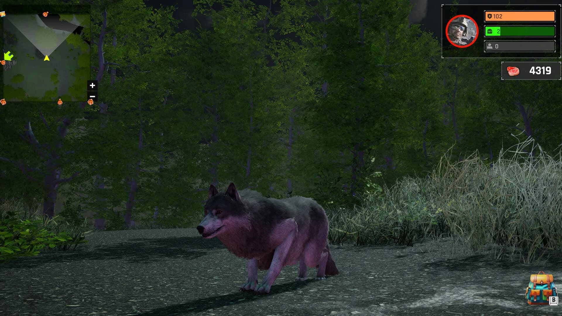Wolf Simulator: Silent Paws görsel 7