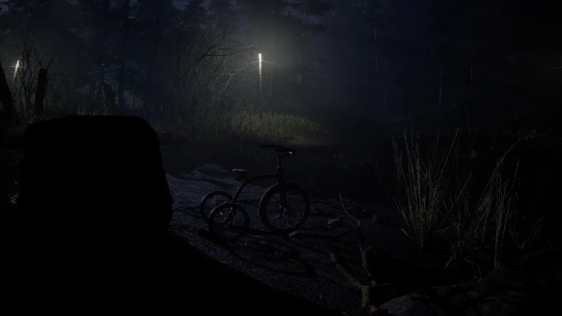Forest 6174 görsel 2