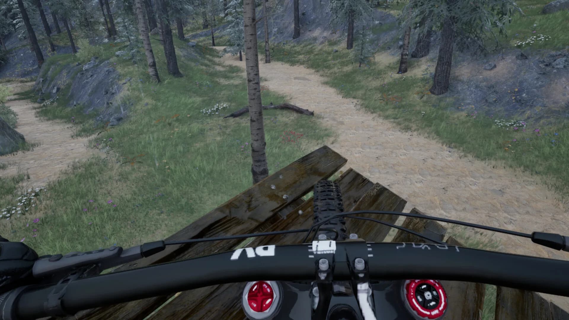 pedalverse görsel 11