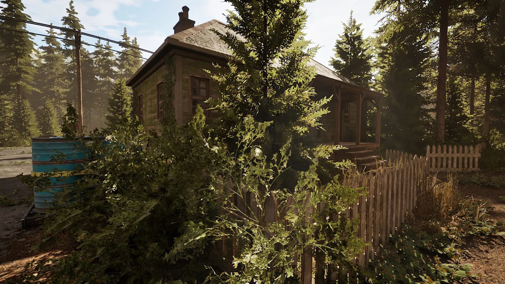 Overgrown: Fazla Bitki Örtüsü görsel 6