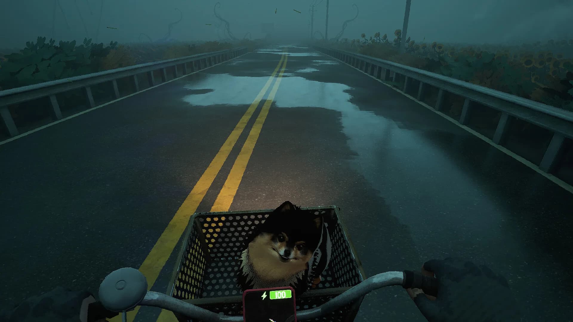 Quite a Ride görsel 10