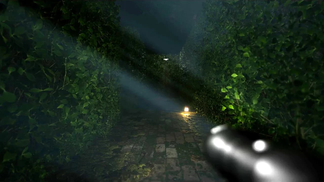 Cursed Maze görsel 4