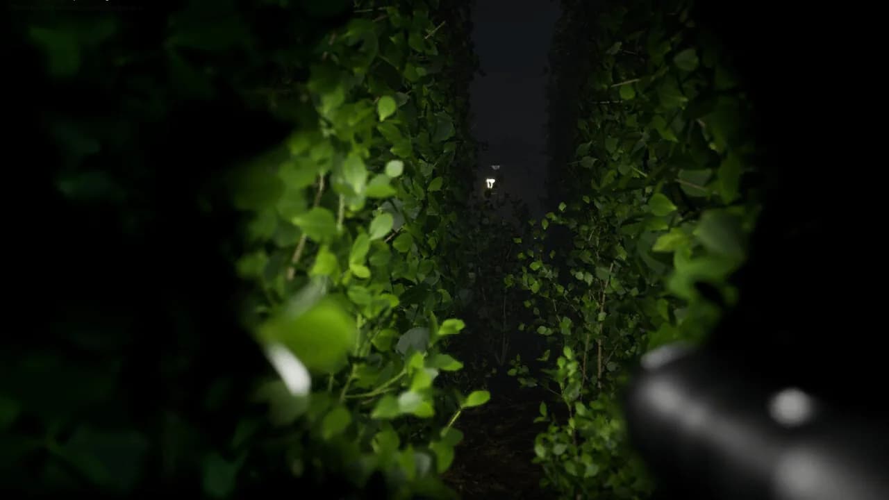 Cursed Maze görsel 5