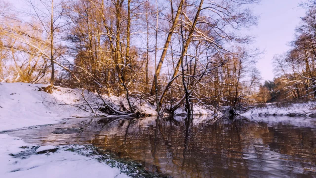 AnglingTimes görsel 5