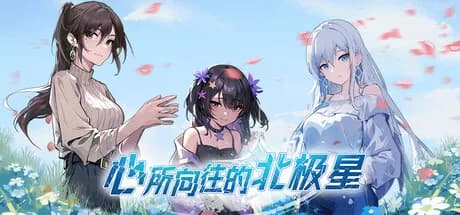心所向往的北极星 görsel 1