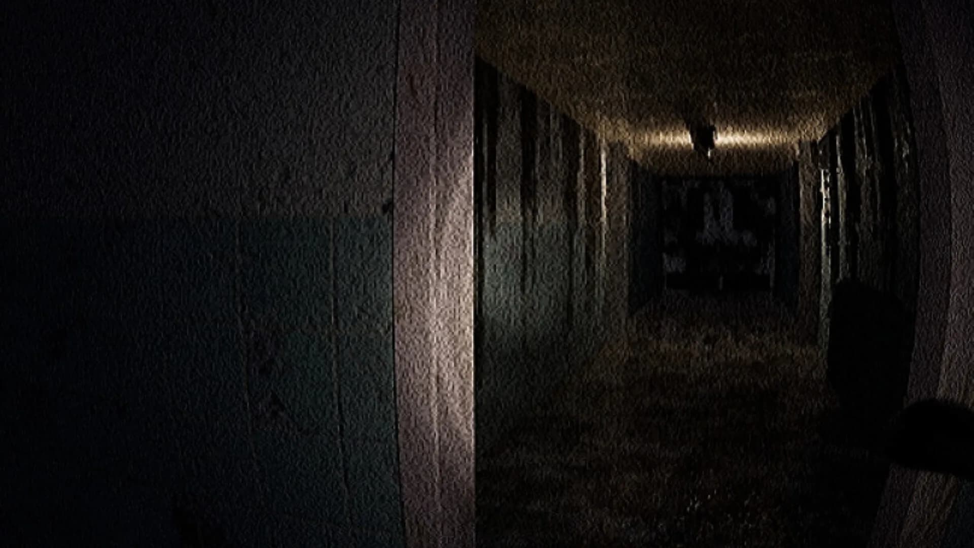 Investigation görsel 6