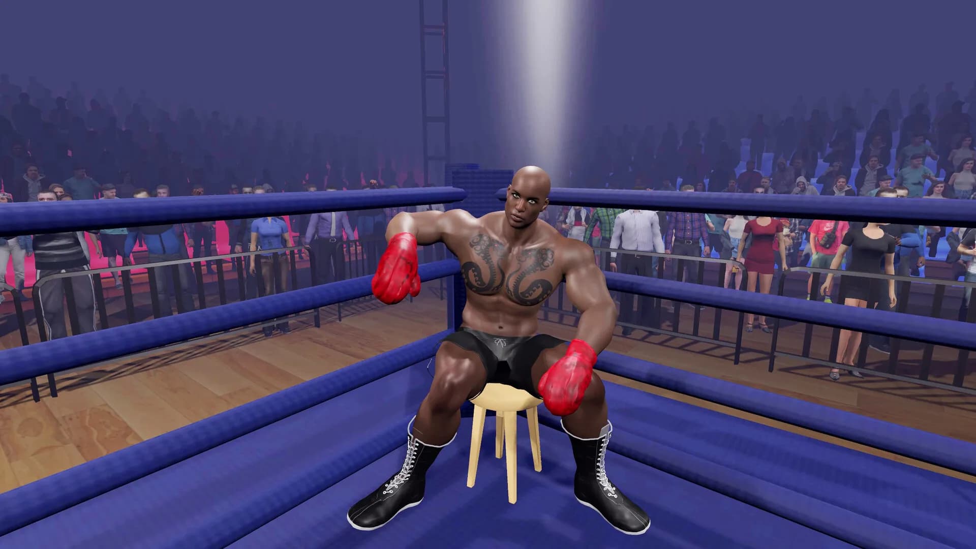 Boxing Knockout Showdown görsel 4