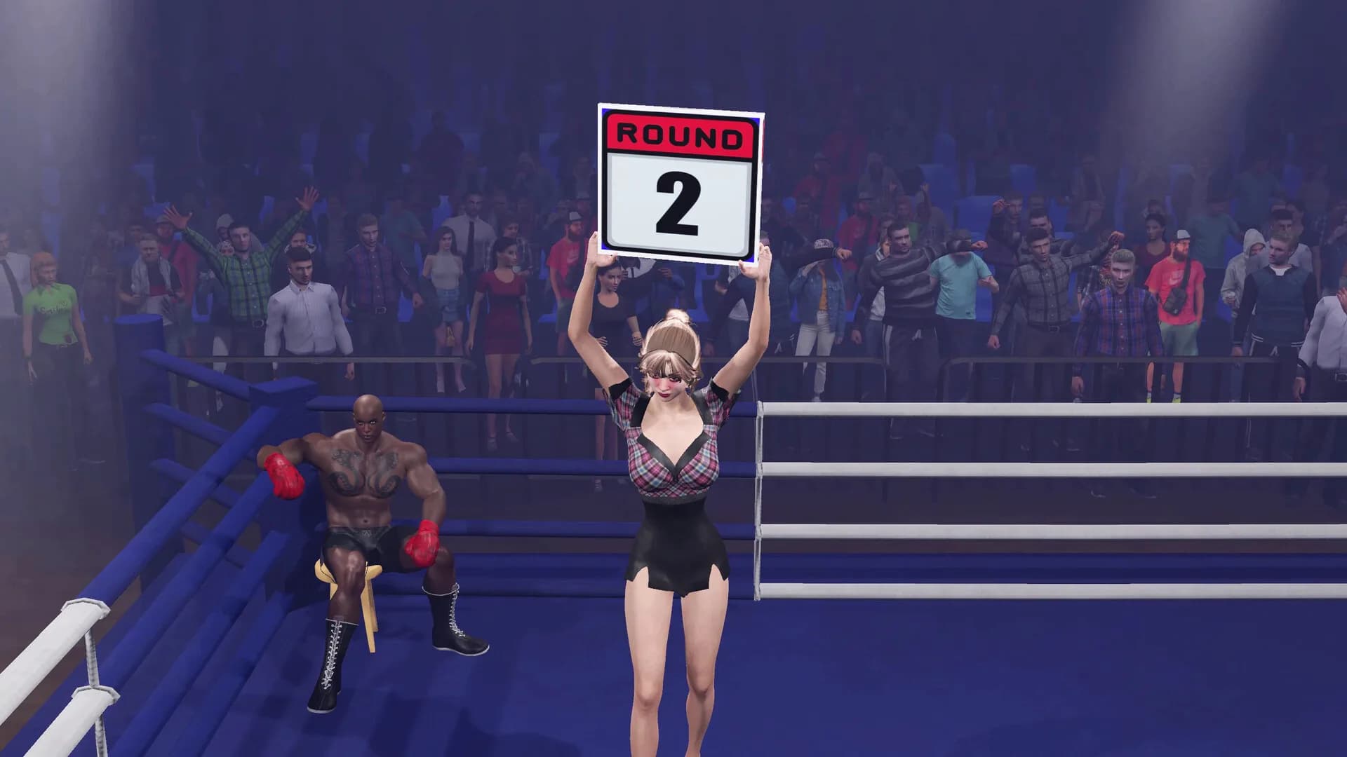 Boxing Knockout Showdown görsel 5