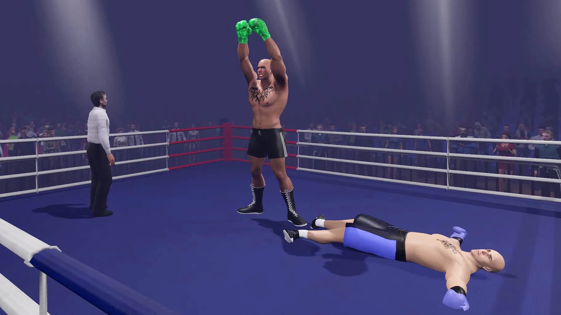 Boxing Knockout Showdown görsel 7