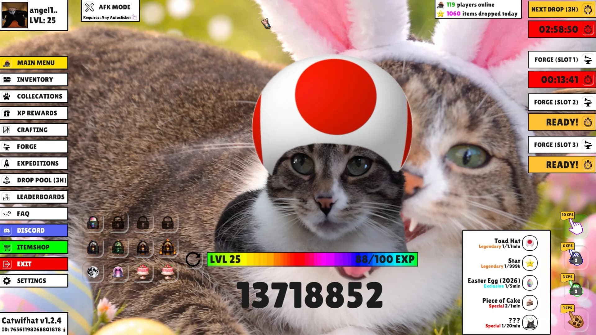 Catwifhat görsel 2