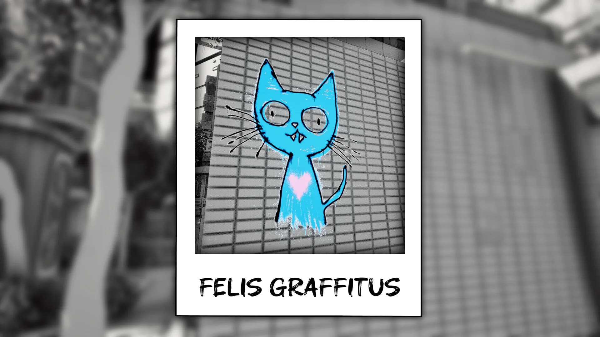 Cat Me If You Can görsel 5