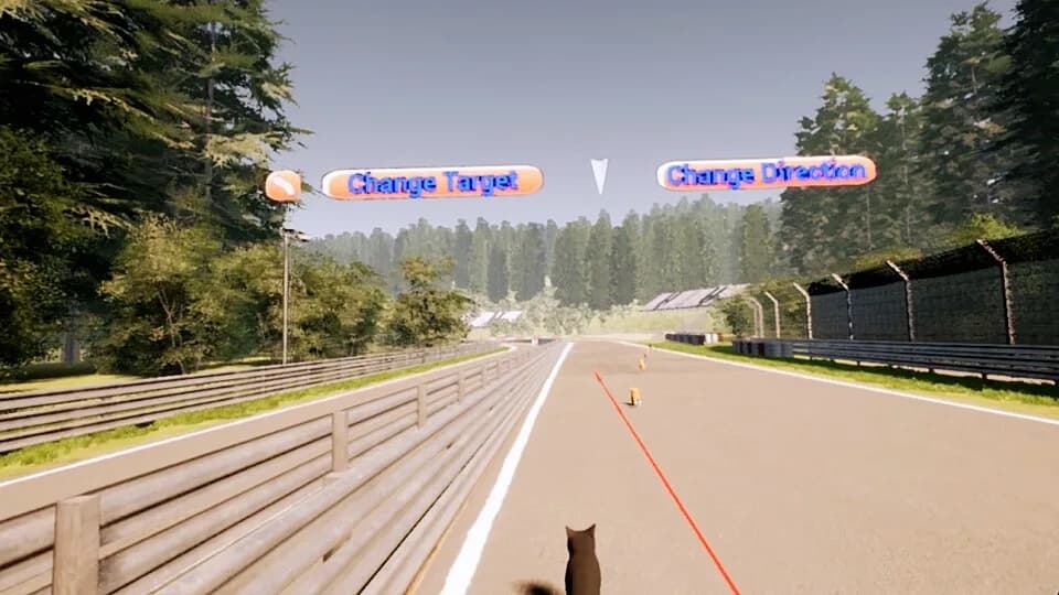 VR Dog Sprint görsel 3