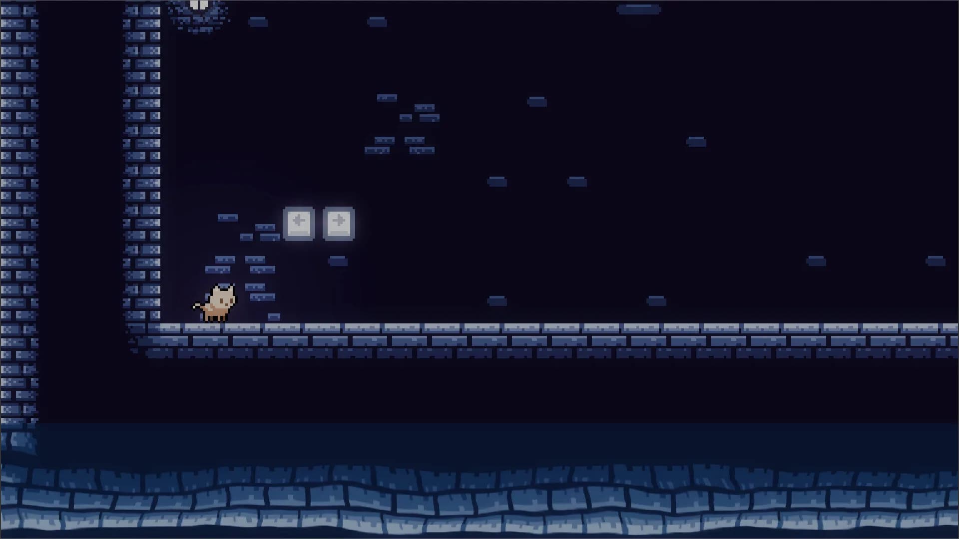 Escape Of The Cat-Aslyum görsel 5