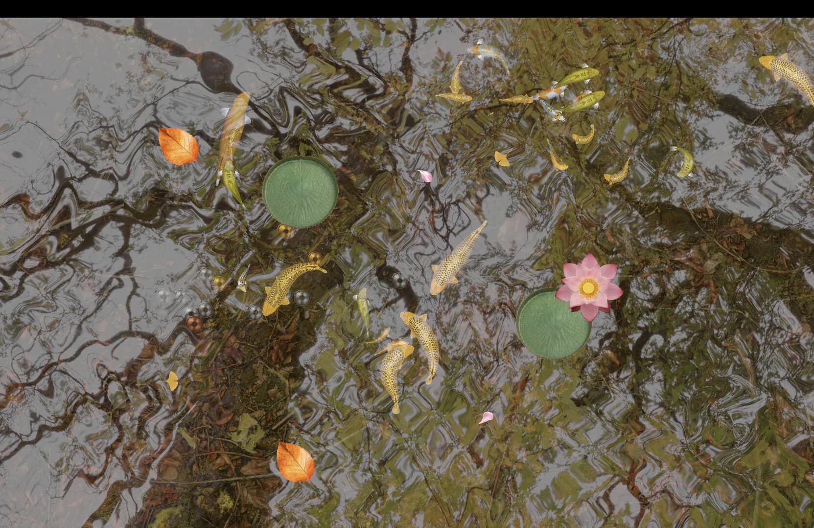 Tranquil Koi 鯉の池 görsel 3