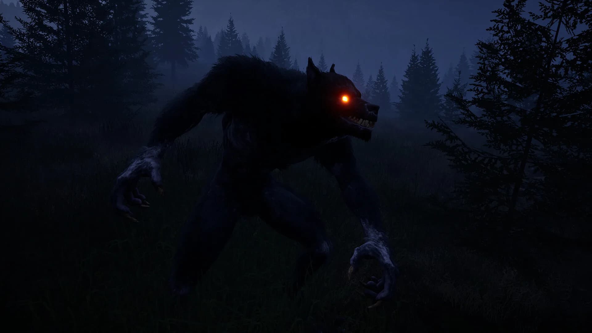WOLFMAN görsel 13