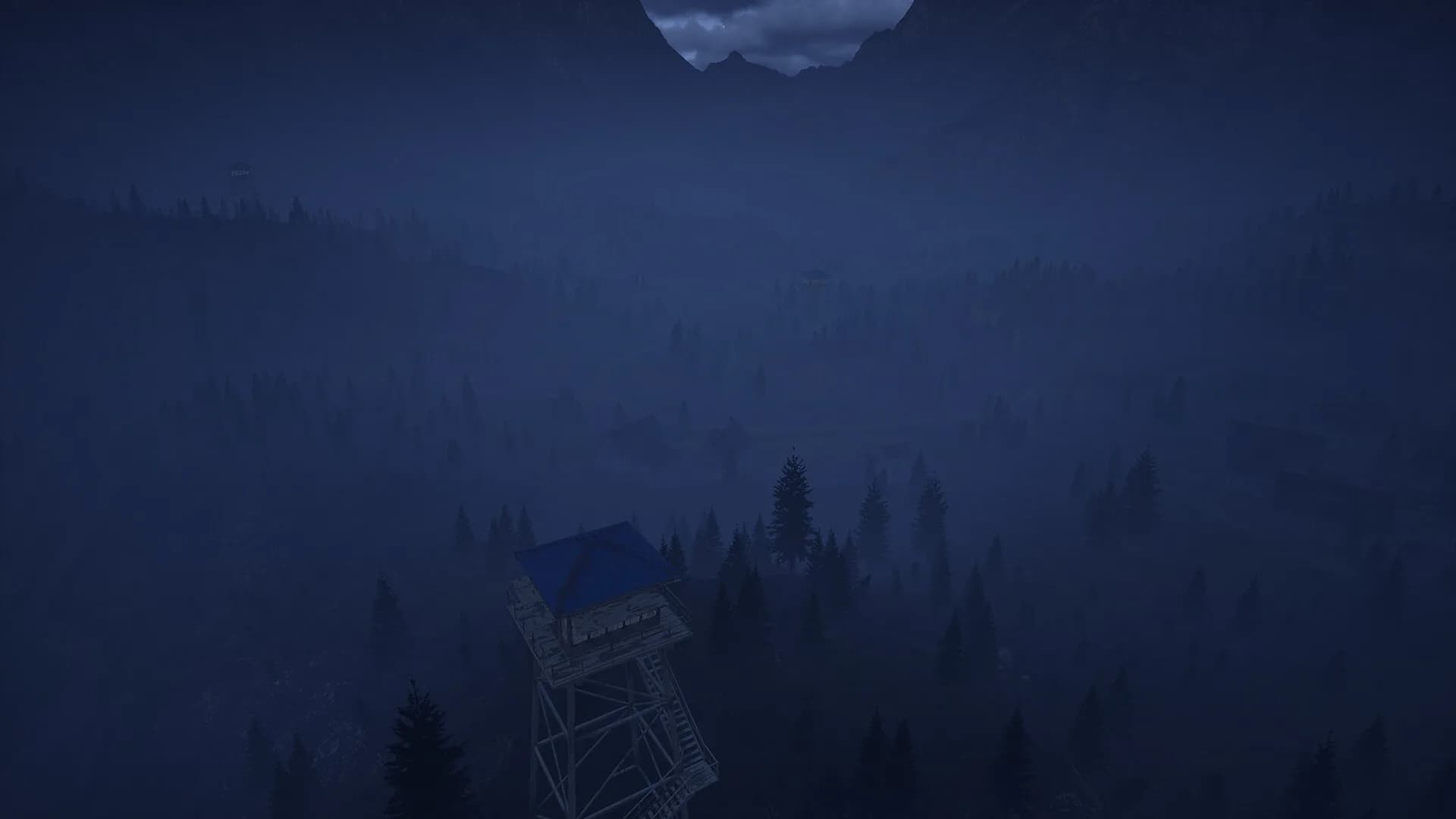 WOLFMAN görsel 9