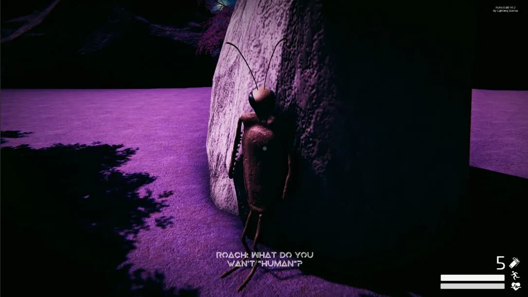 9 Years of Dreaming görsel 3