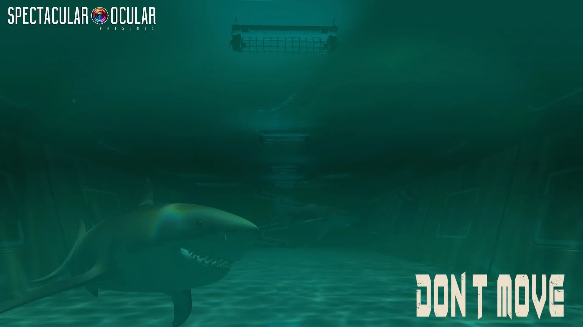 DON'T MOVE görsel 6