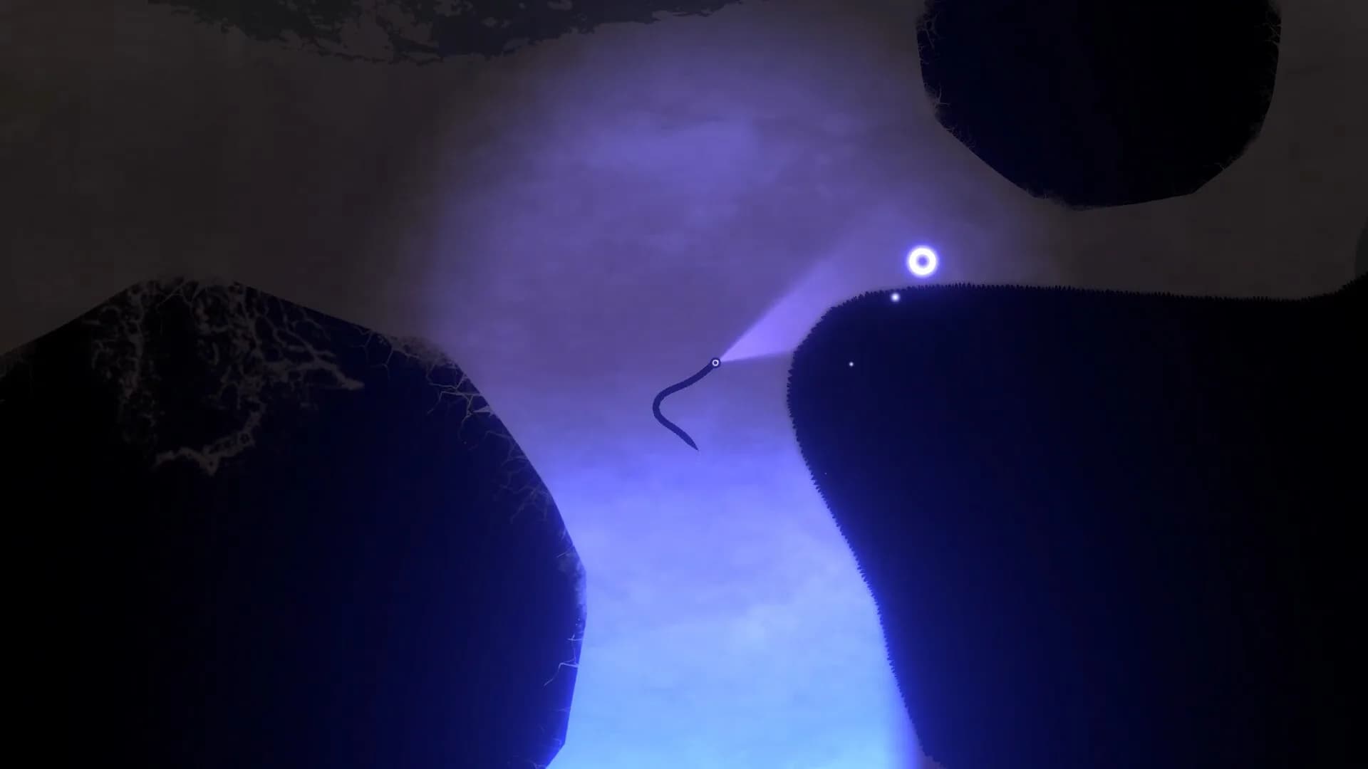 Slitherise görsel 3
