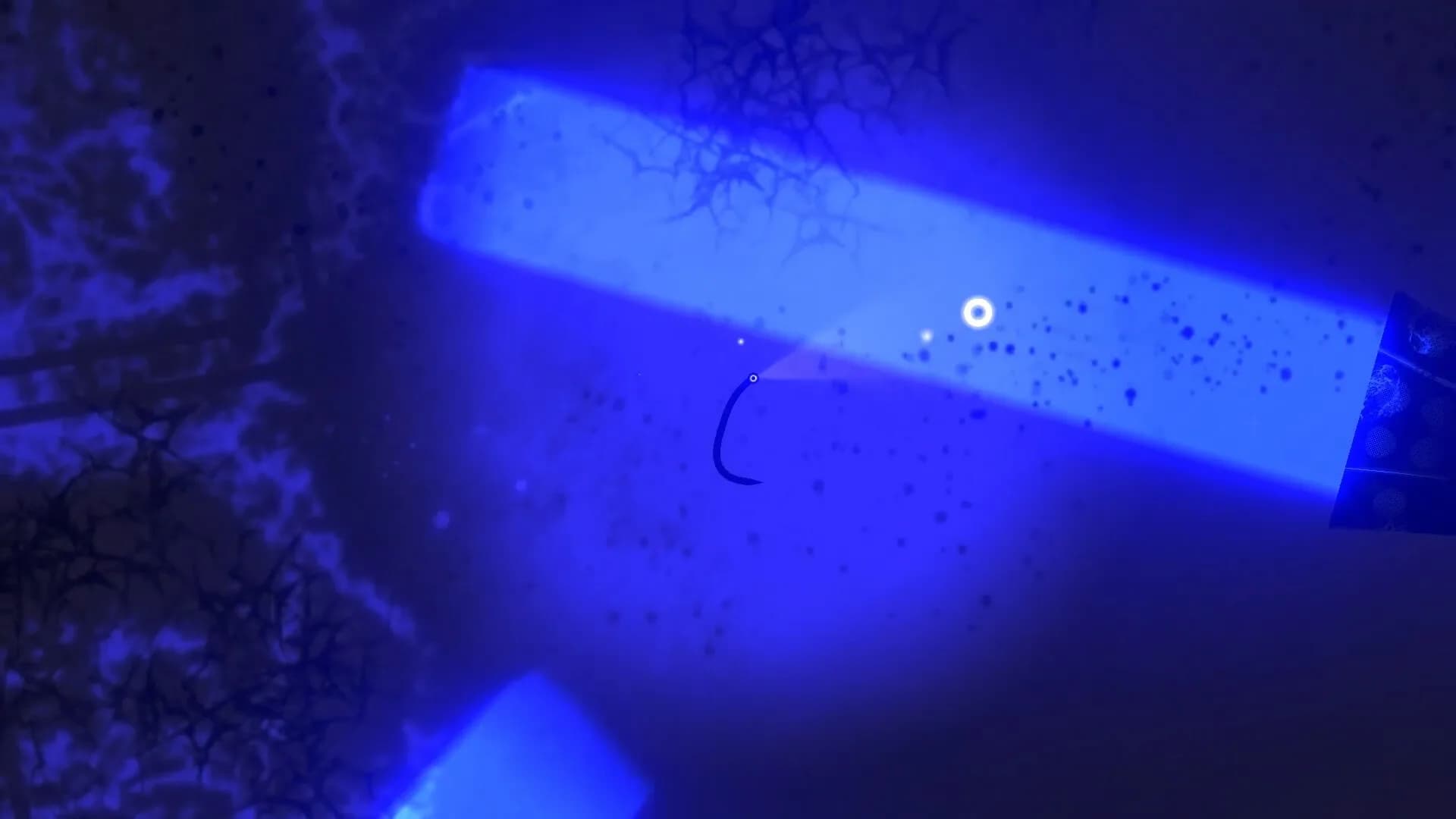 Slitherise görsel 9