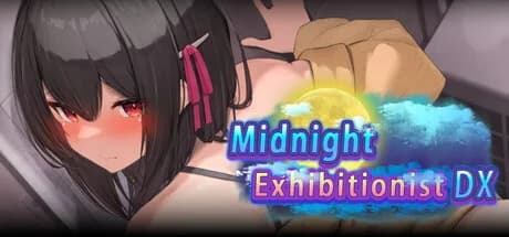 Midnight Exhibitionist