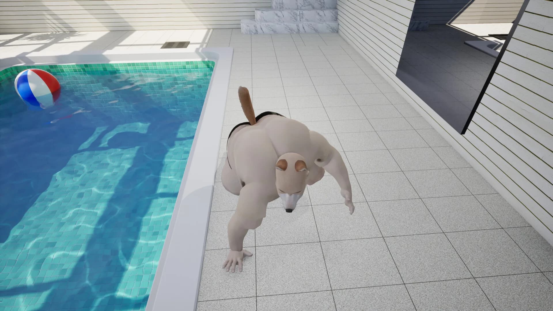 変なプール görsel 5
