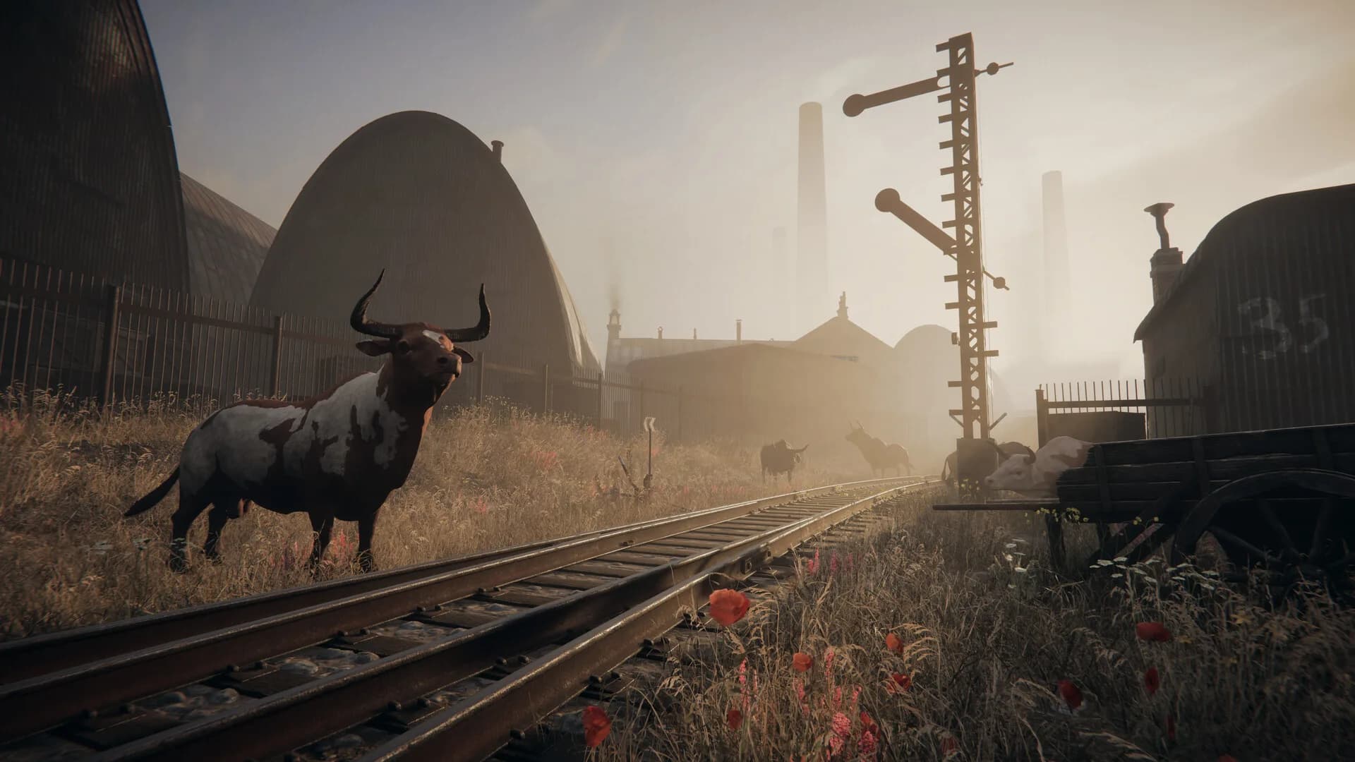 Pathologic 3 görsel 10