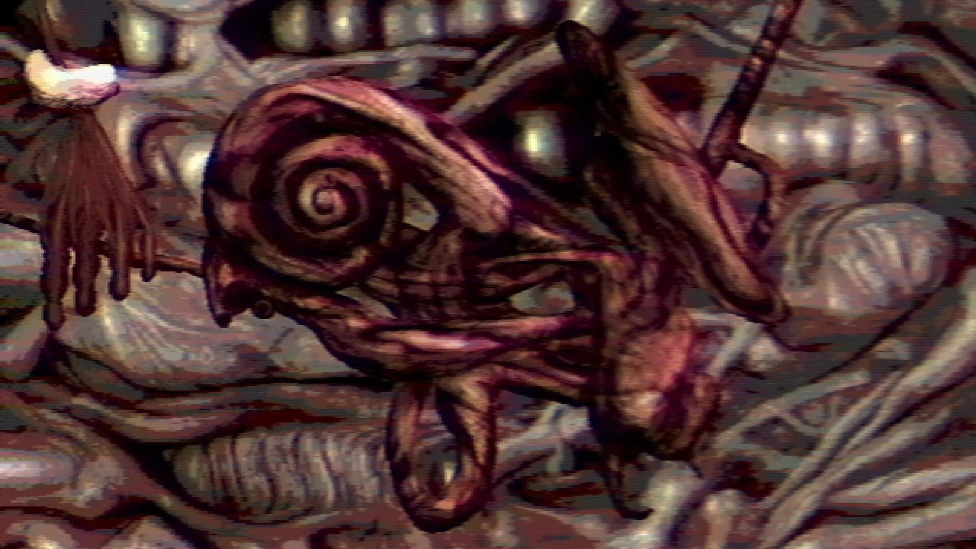 Navicula Meatus görsel 6