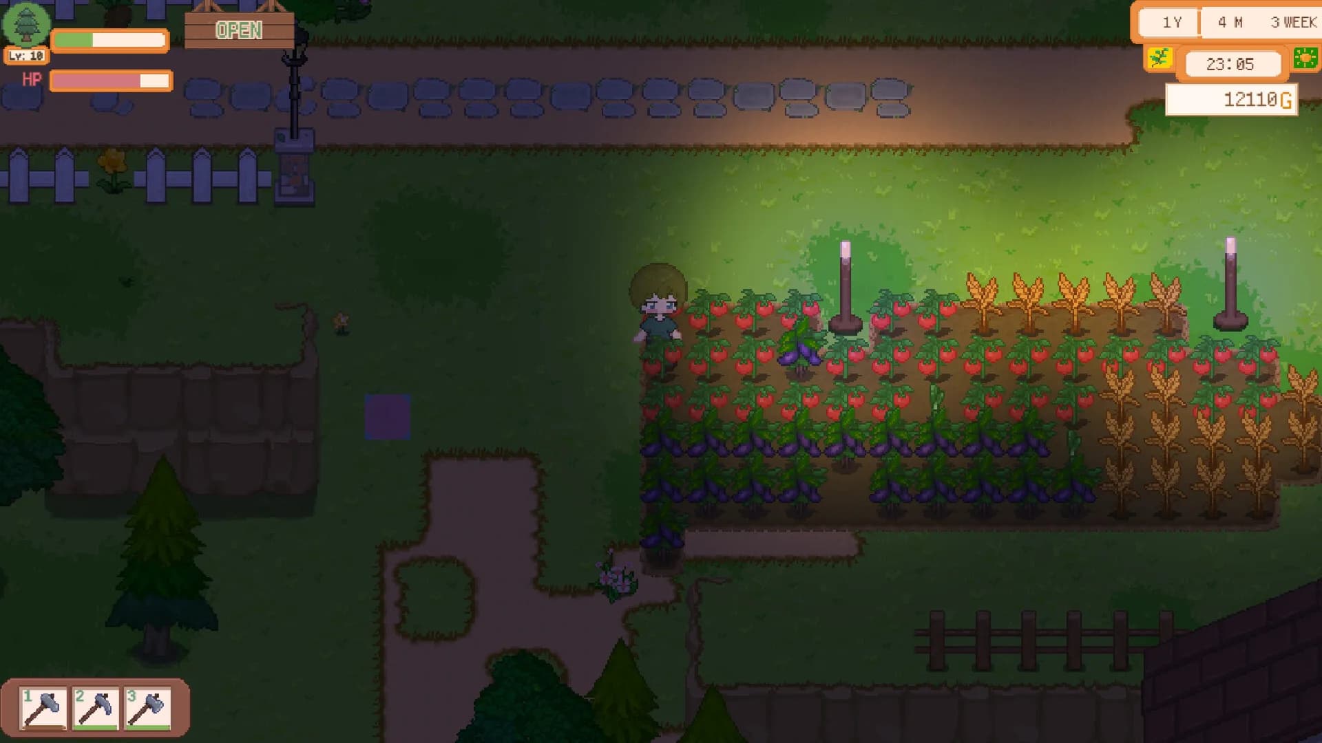 StarMoon Forest görsel 7