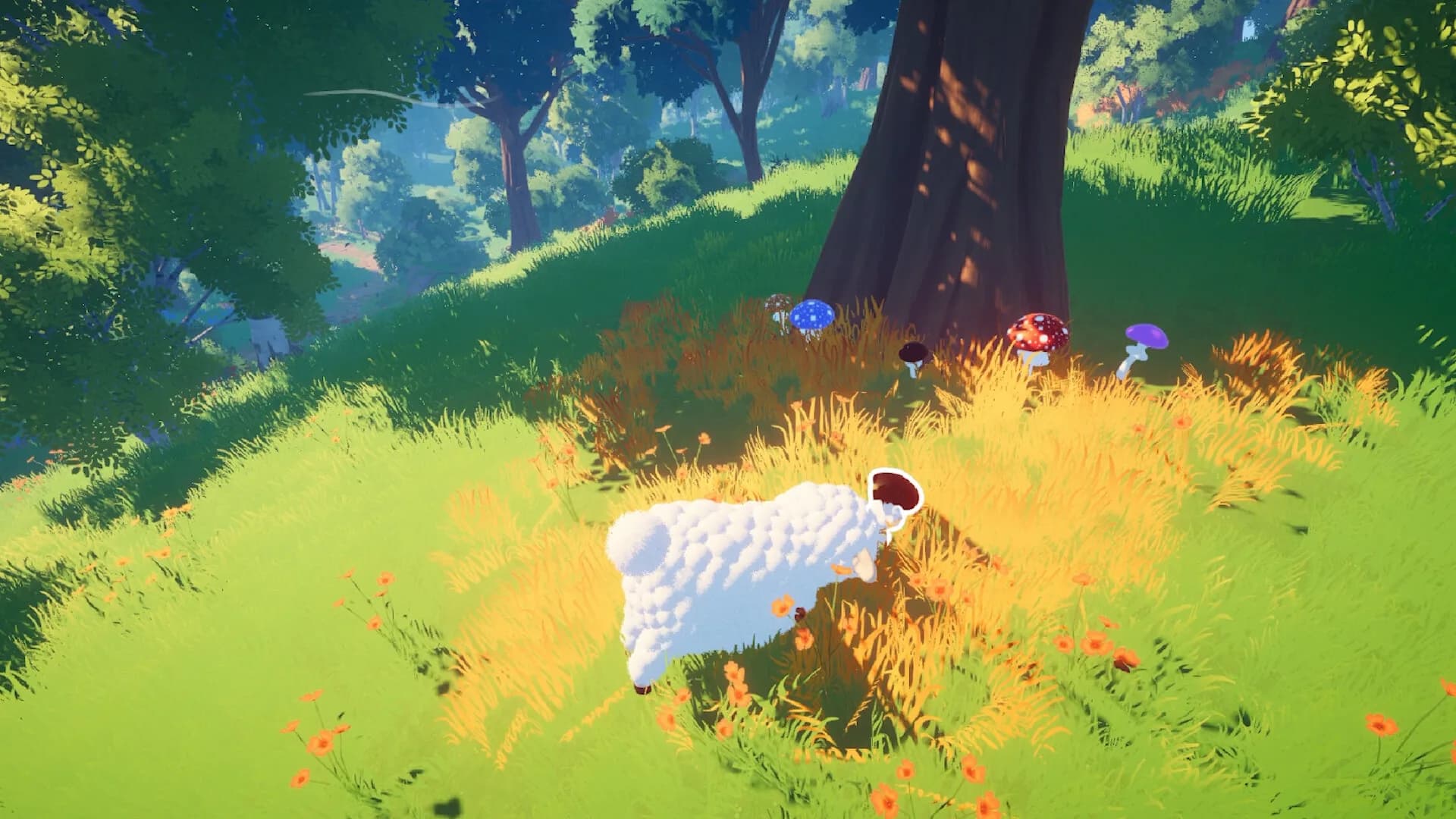 Hide and Sheep görsel 5